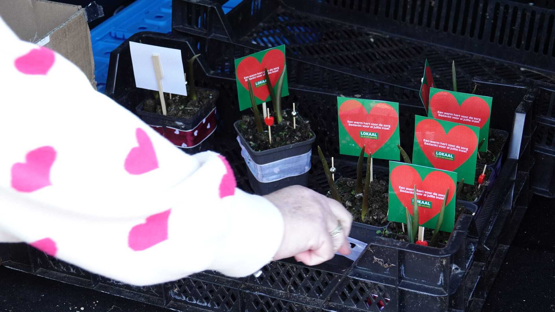 Foto: lokaal hhw plantjes.jpeg